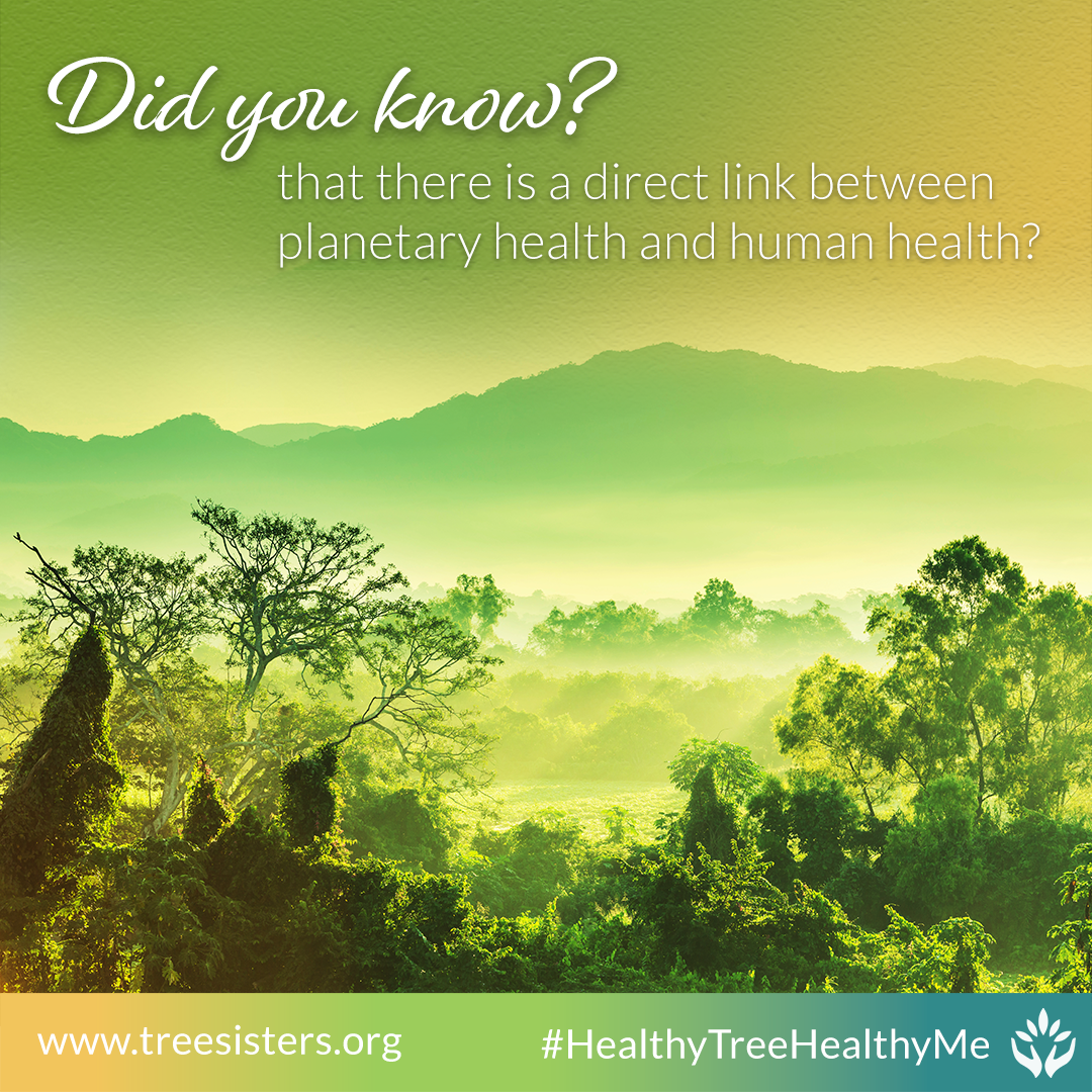 There is a direct link between human health and the health of the Earth