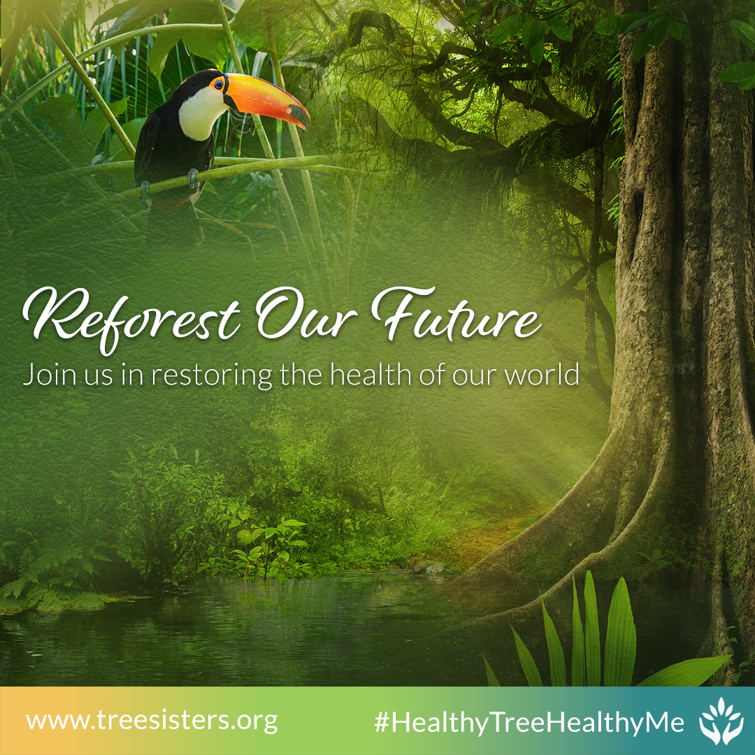 Reforest Our Future