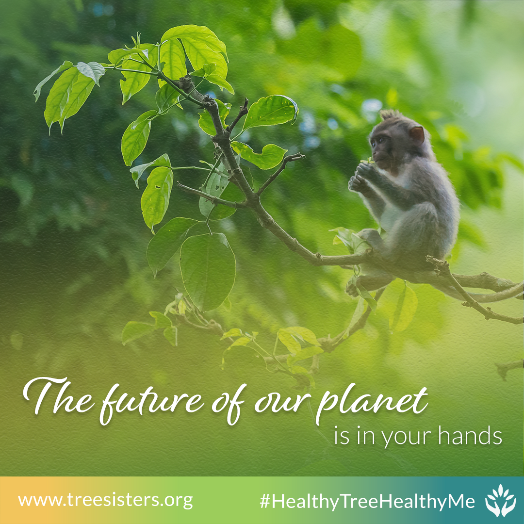The future of our planet is in your hands